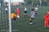dsc_0616_small.jpg