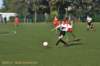 dsc_0671_small.jpg