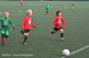 dsc_0658_small.jpg