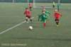 dsc_0663_small.jpg