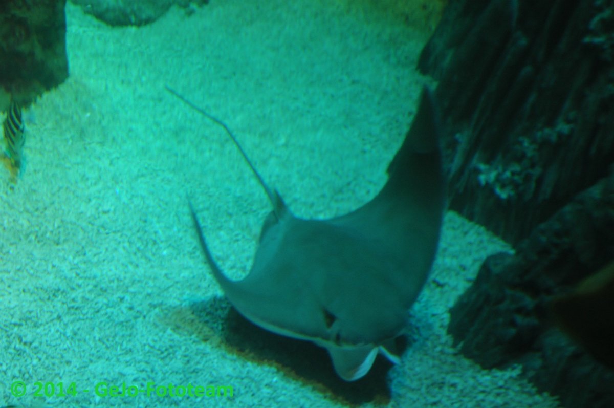 dsc_3530.jpg