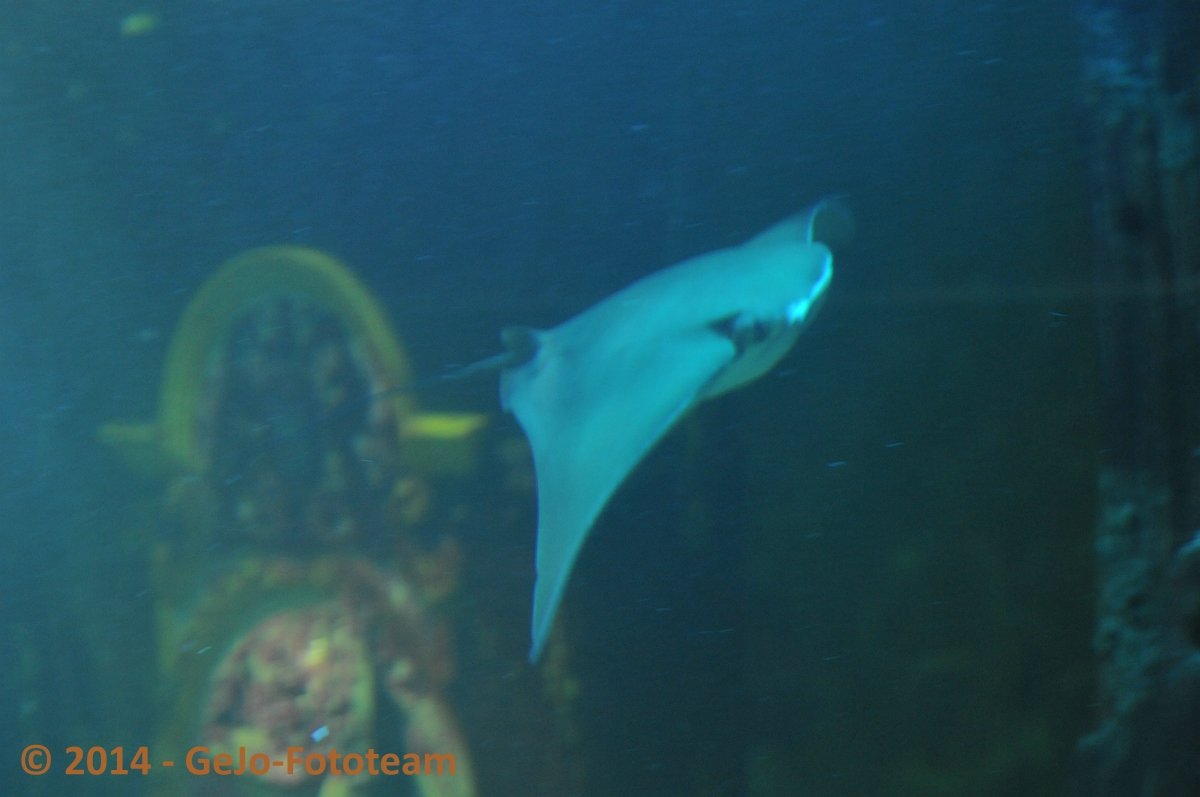 dsc_3531.jpg