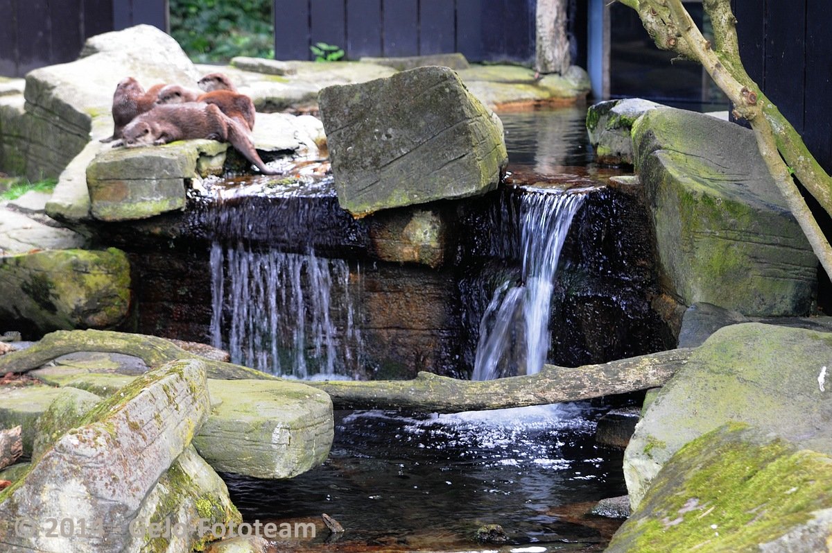 dsc_3557.jpg