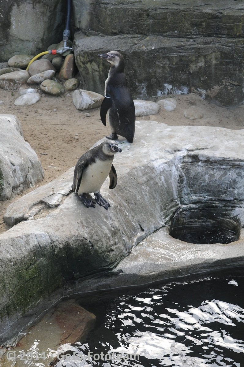 dsc_3559.jpg
