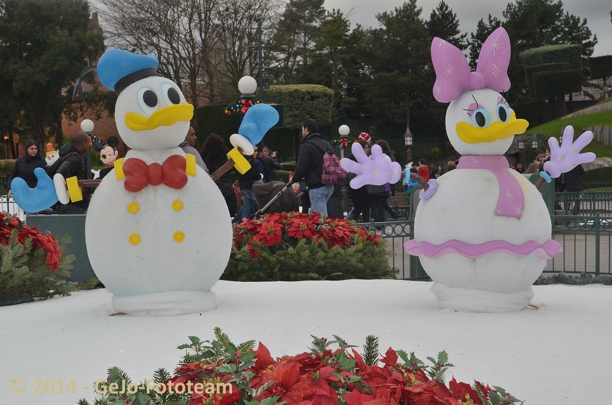 dsc_6395.jpg