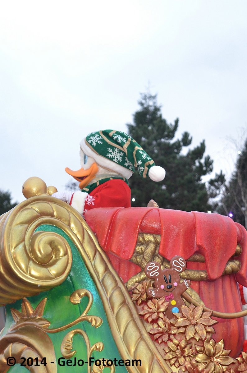 dsc_6508.jpg