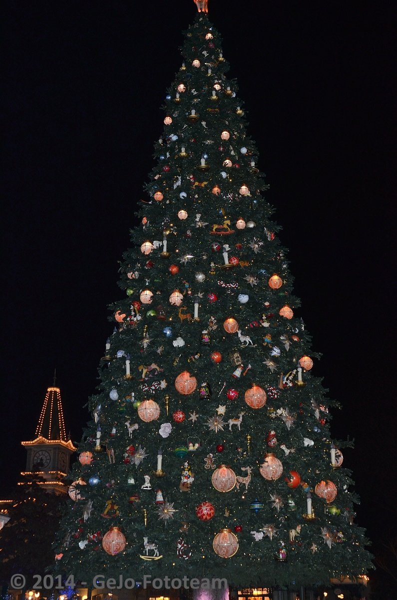 dsc_6542.jpg