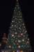 dsc_6542_small.jpg