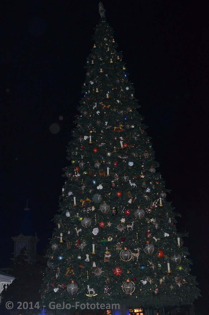 dsc_6545.jpg