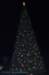 dsc_6547_small.jpg