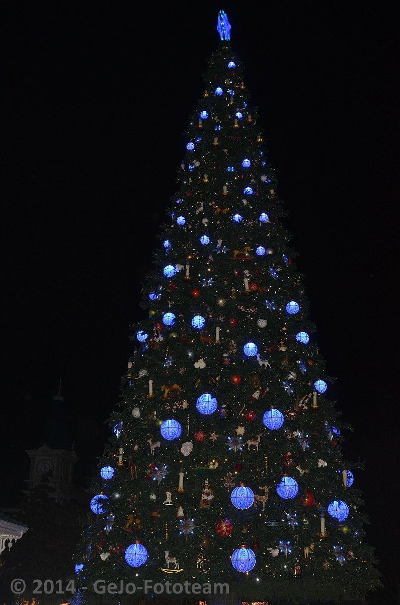 dsc_6549.jpg