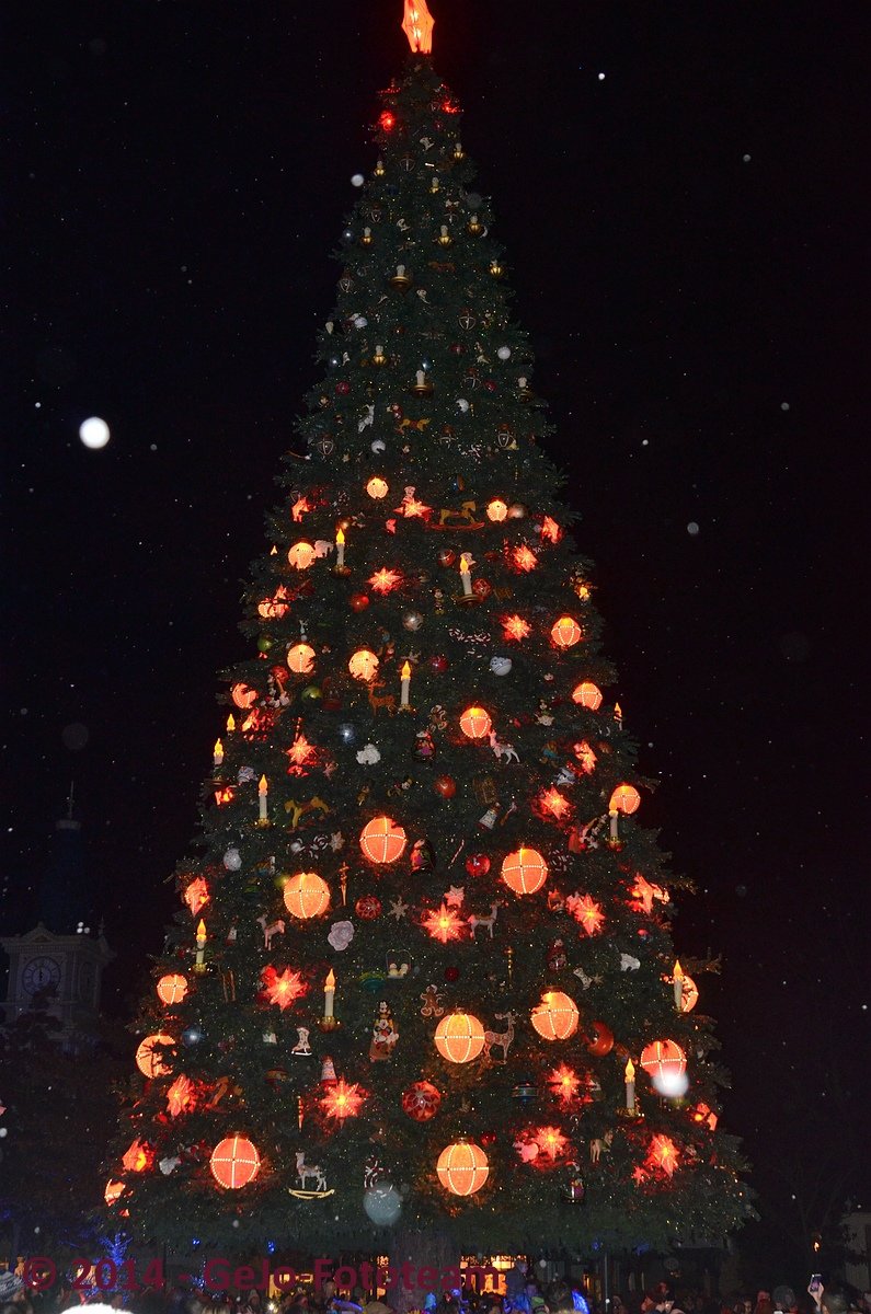 dsc_6559.jpg