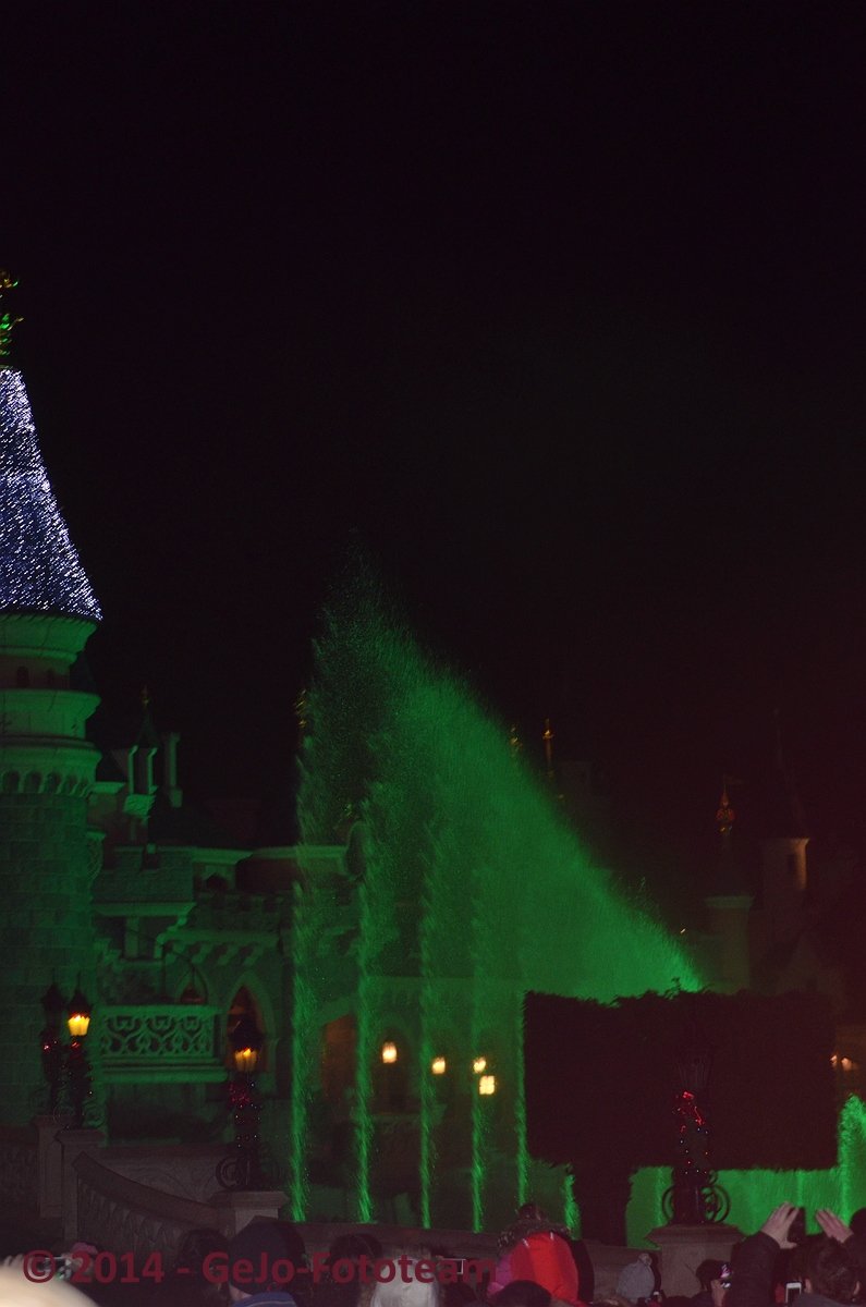 dsc_6575.jpg