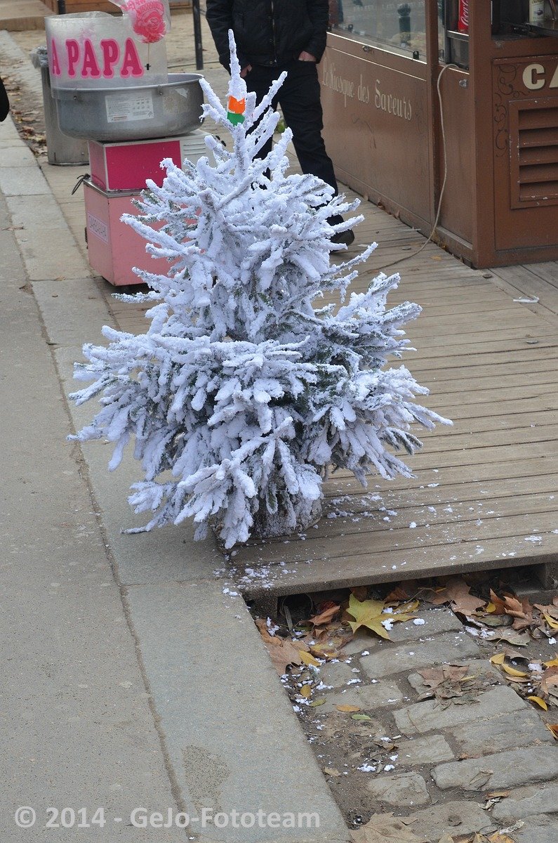 dsc_6646.jpg