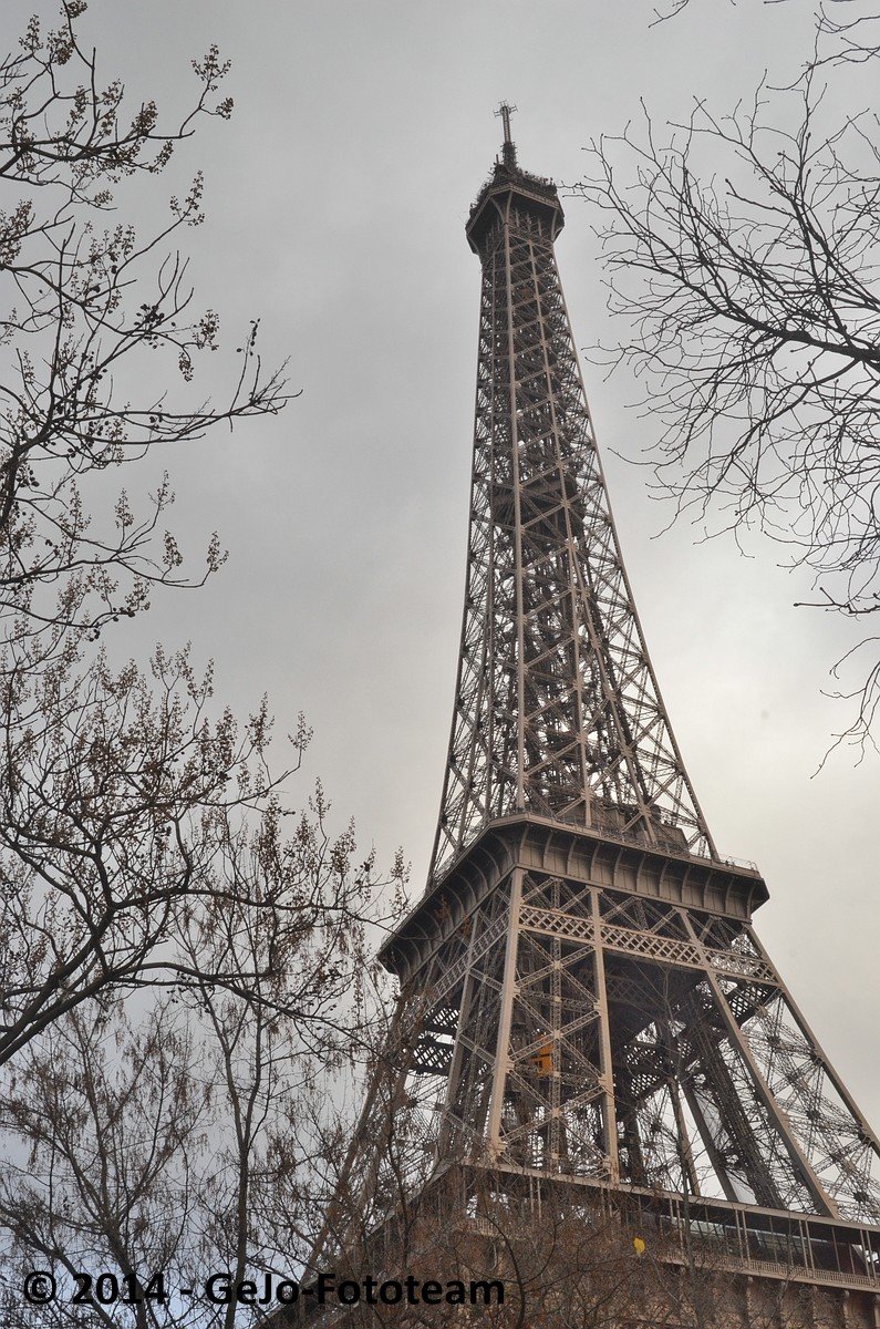 dsc_6651.jpg