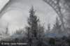 dsc_6661_small.jpg