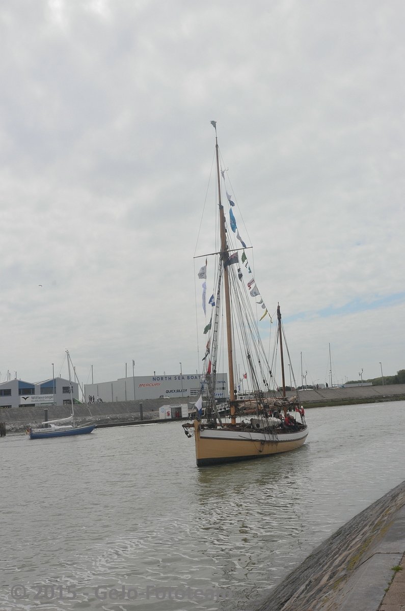 dsc_7785.jpg