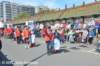 dsc_8704_small.jpg