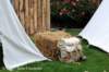 dsc_1116_small.jpg