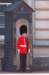 dsc_5635_small.jpg