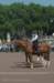 dsc_6725_small.jpg