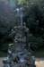 dsc_6658_small.jpg