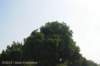 dsc_6663_small.jpg