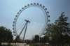 dsc_6580_small.jpg