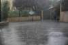 dsc_3954_small.jpg