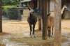 dsc_3962_small.jpg