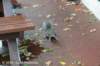 dsc_3967_small.jpg