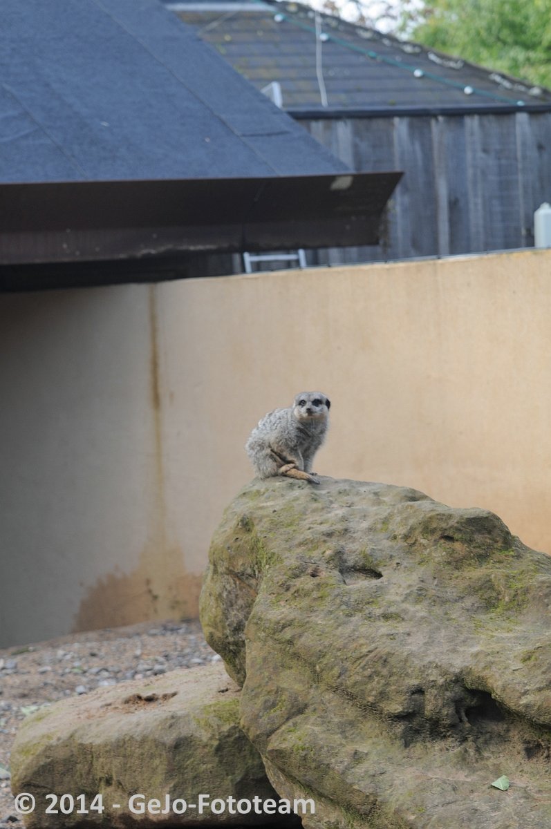 dsc_3976.jpg