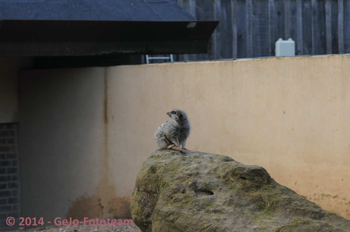 dsc_3977.jpg