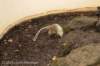 dsc_3980_small.jpg