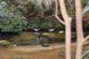 dsc_3983_small.jpg