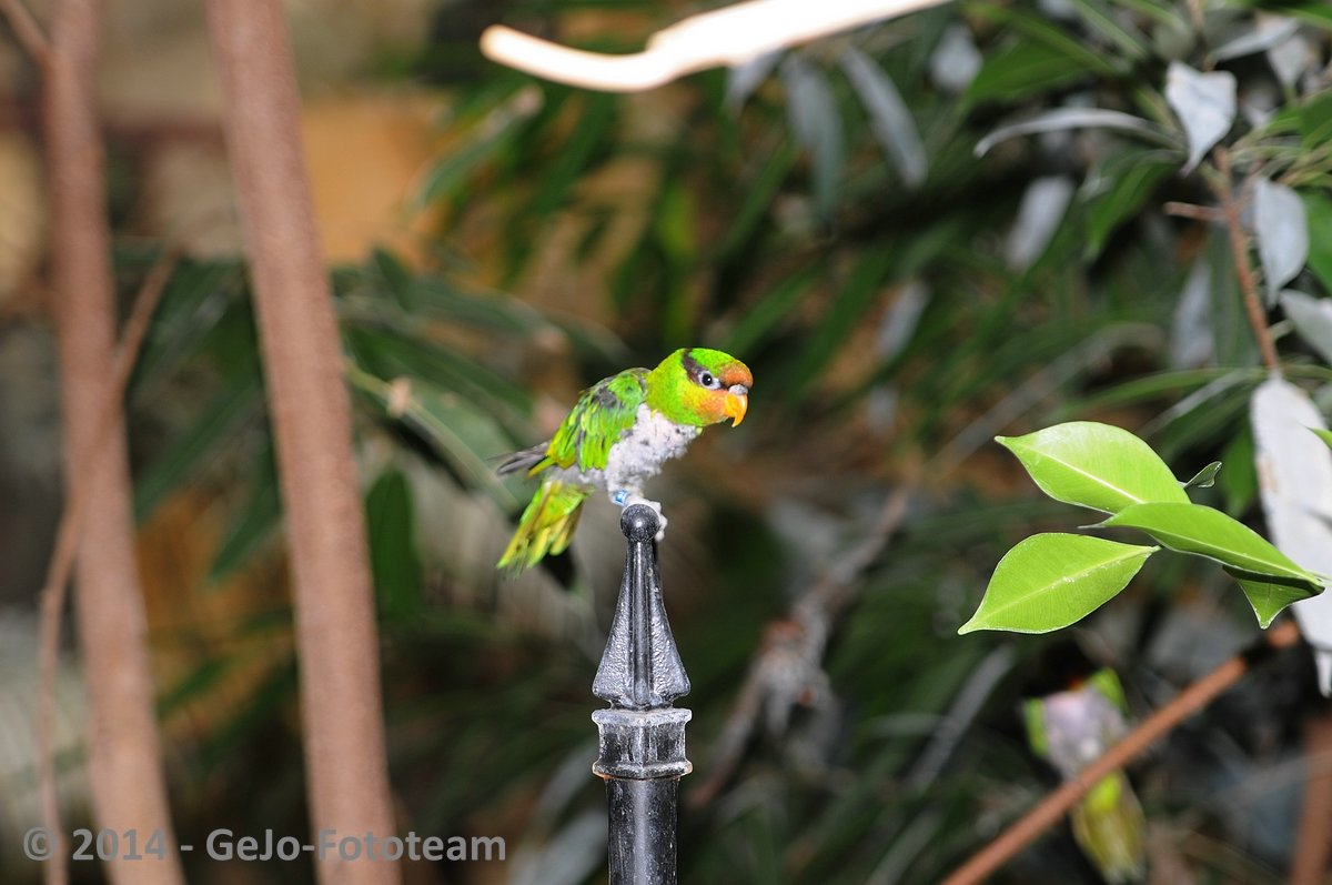 dsc_3984.jpg