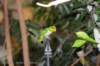 dsc_3984_small.jpg