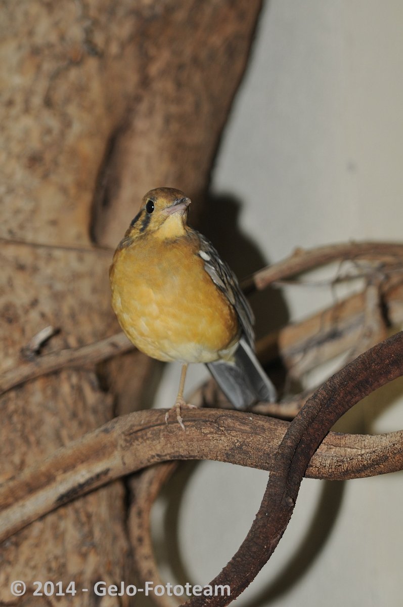 dsc_3993.jpg