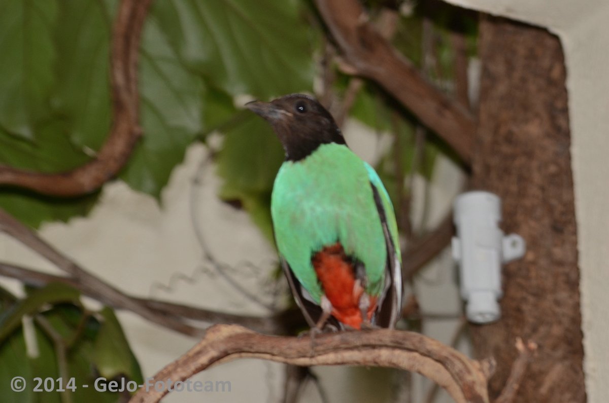 dsc_5933.jpg
