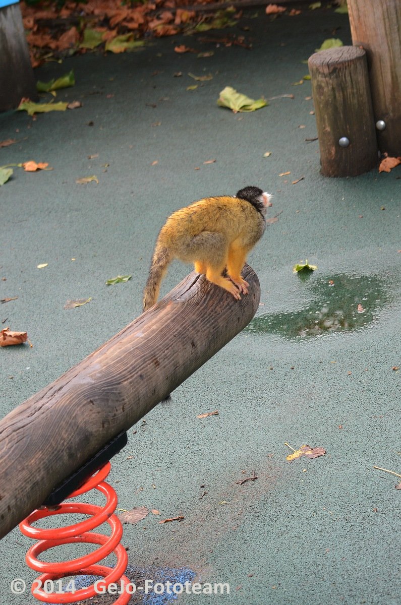 dsc_5949.jpg