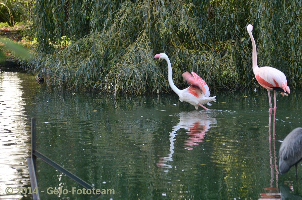 dsc_5962.jpg
