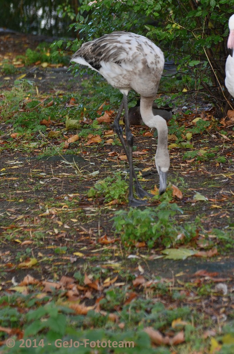 dsc_5965.jpg