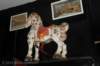 dsc_3858_small.jpg