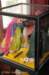 dsc_3876_small.jpg