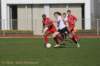 dsc_0336_small.jpg