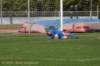 dsc_0338_small.jpg