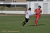 dsc_0339_small.jpg