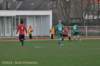 dsc_0109_small.jpg