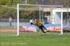 dsc_0478_small.jpg