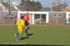 dsc_0187_small.jpg